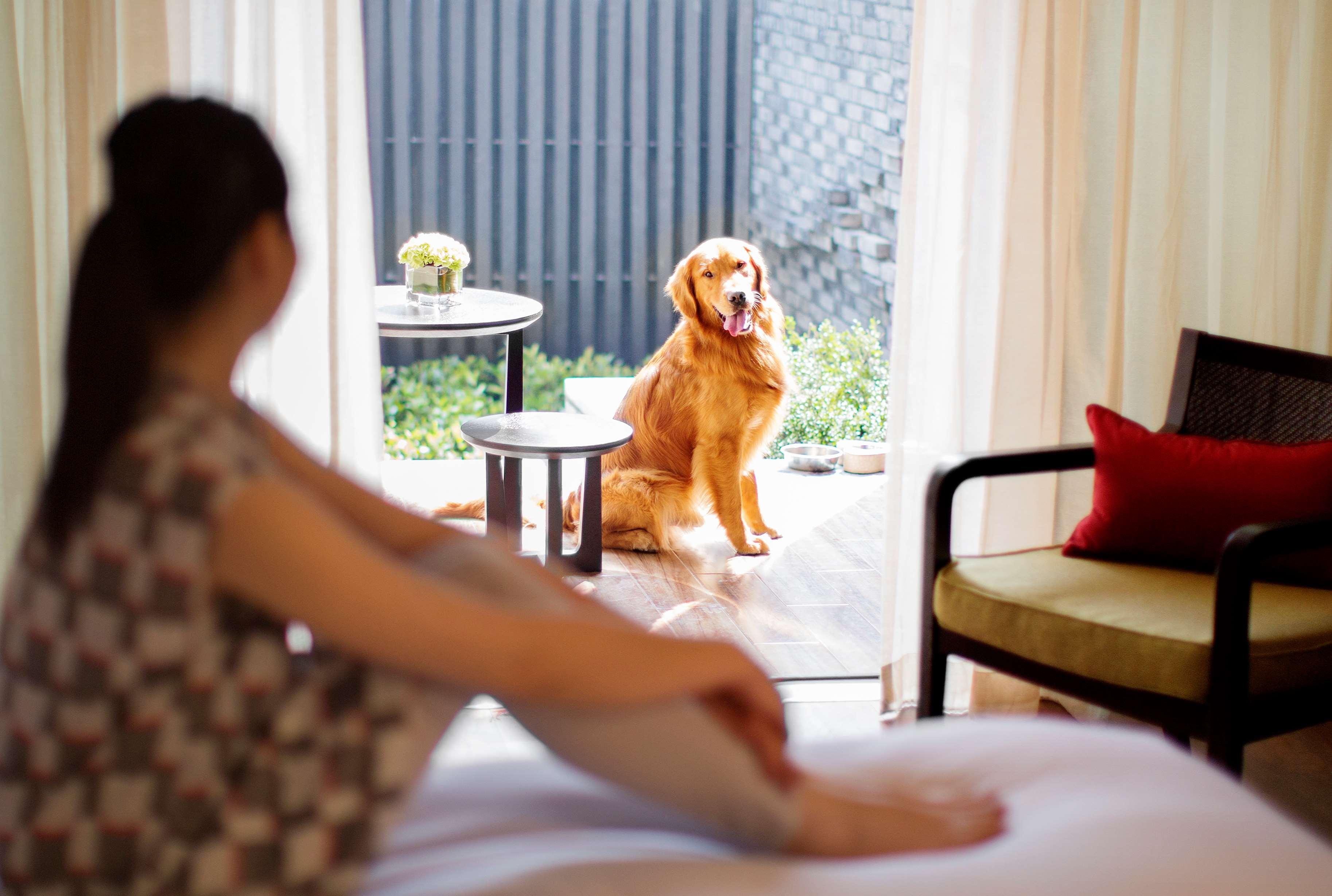 Hyatt Regency Chongming Hotel Ngoại thất bức ảnh